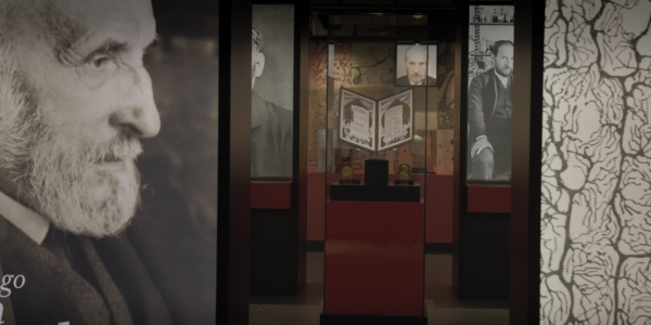 ramon-y-cajal-retina